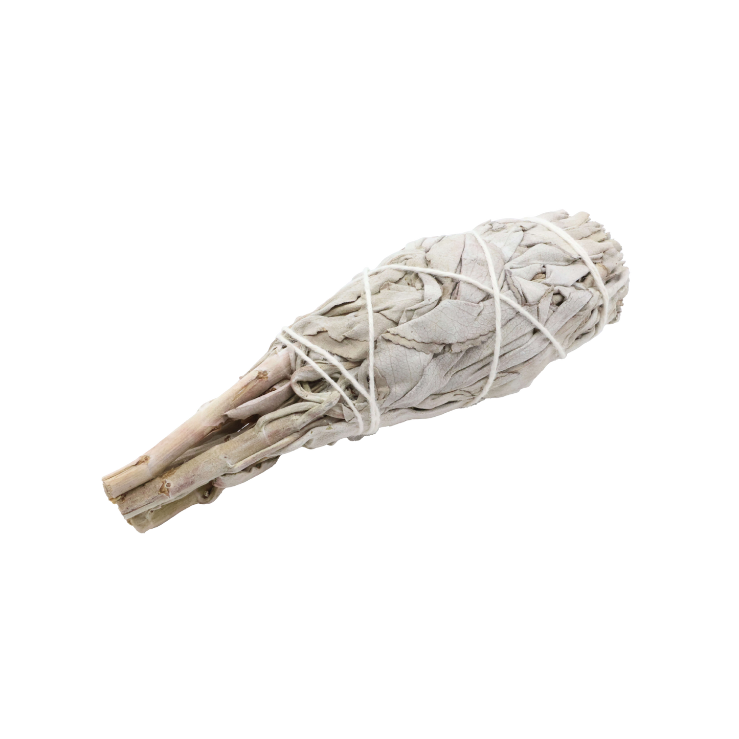 Sauge Blanche de Californie  Purification & Harmonie